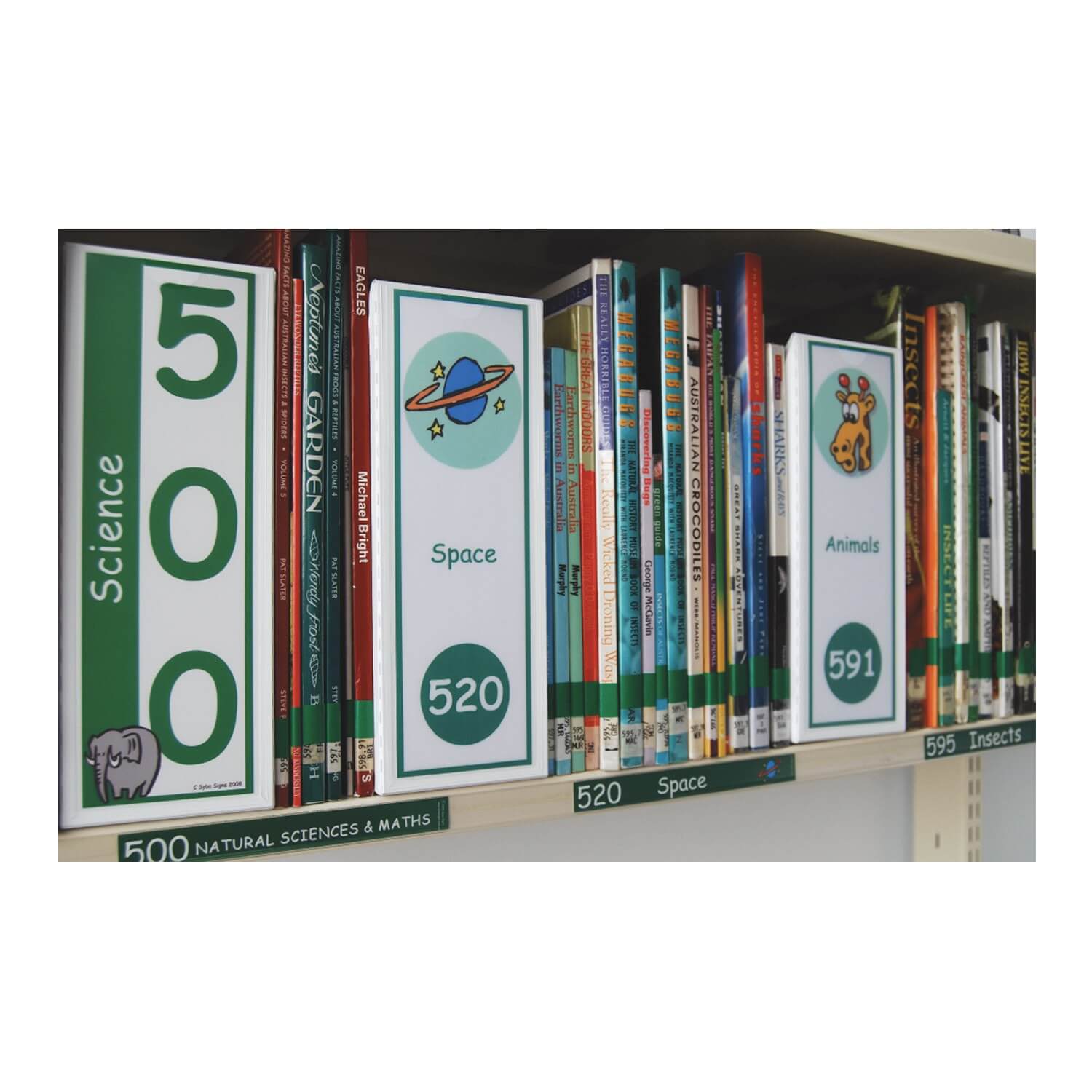 Expanded Non Fiction Shelf Dividers Set 2