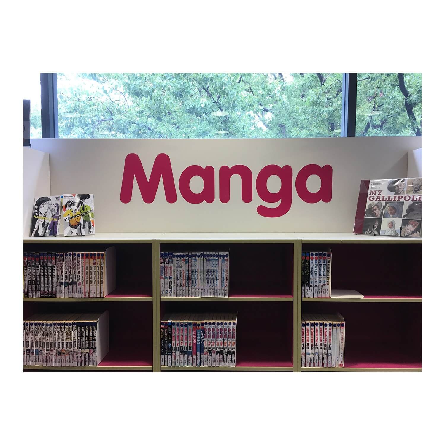 Custom 250mm (h) Vinyl Letters