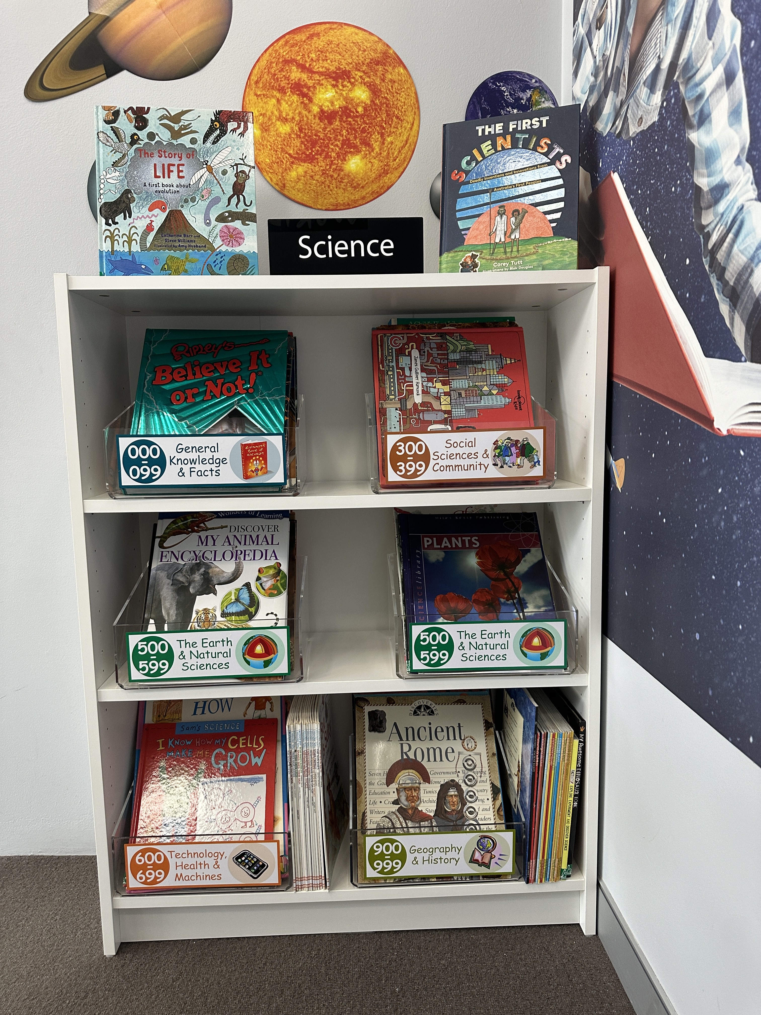 Acrylic Book Storage Box (Large)