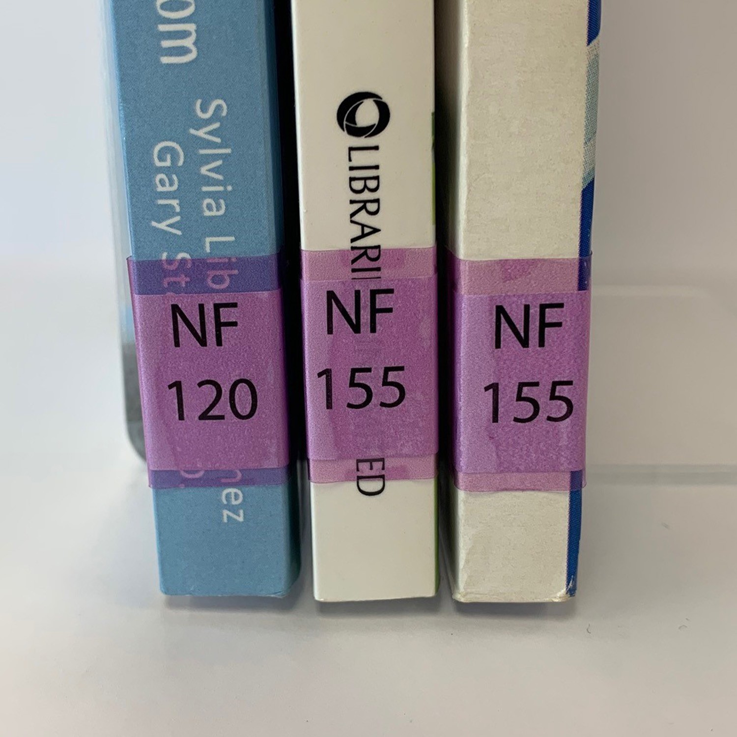 100 Tinted Fuchsia Label Protectors