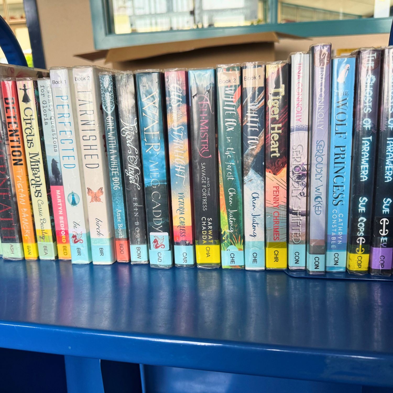 Tinted Label Protectors