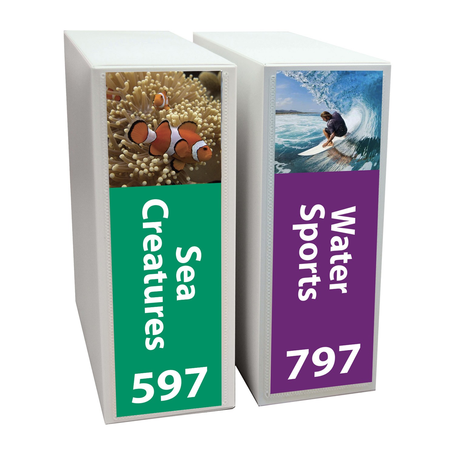 Senior Expanded Non Fiction Shelf Divider Pack Set 3 200mm