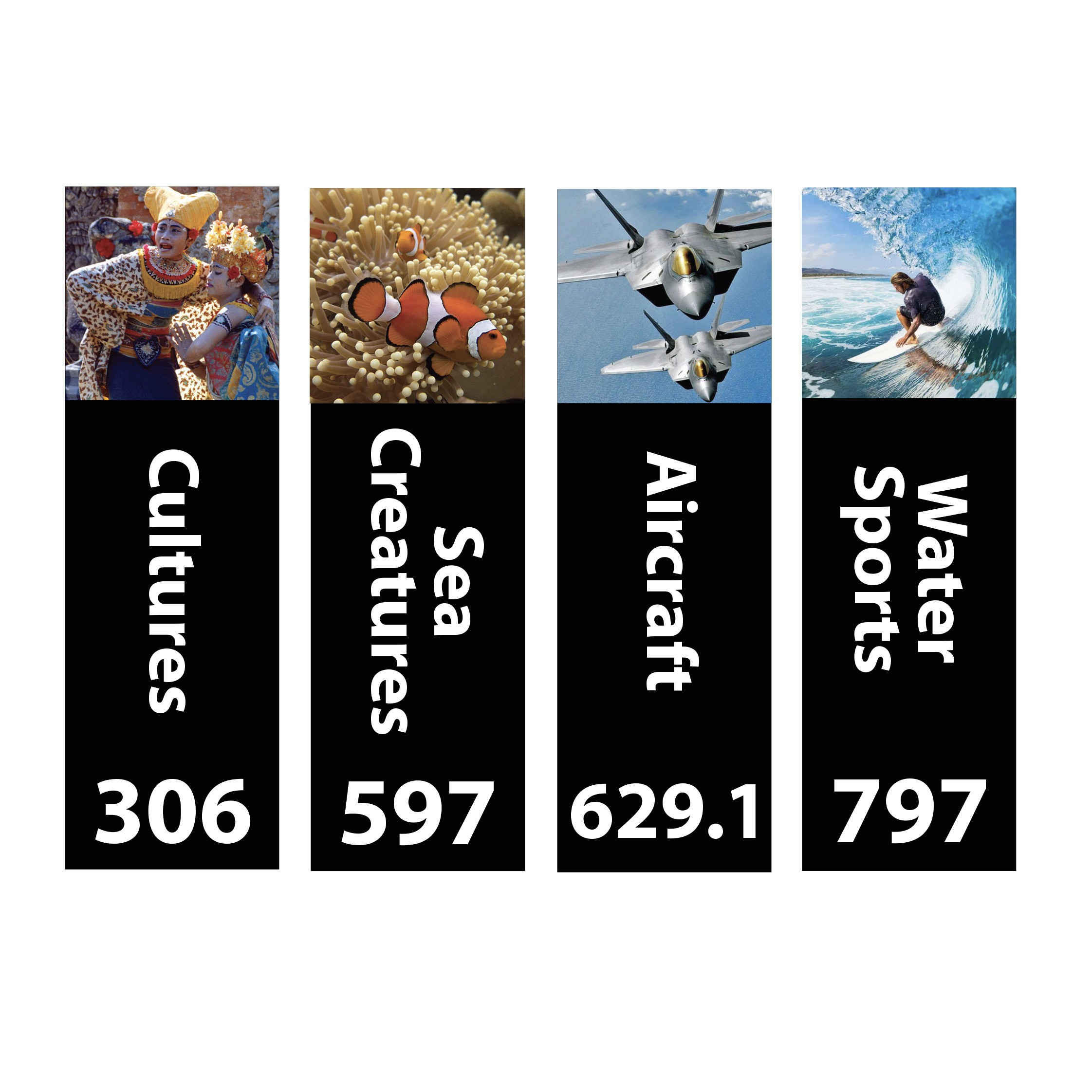 Senior Expanded Non Fiction Sticky Back Signs Set 3 Design 5