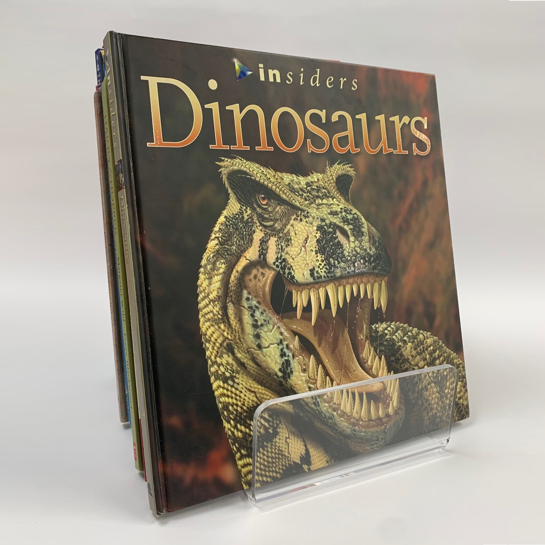 Acrylic Multi Purpose Display (Large)