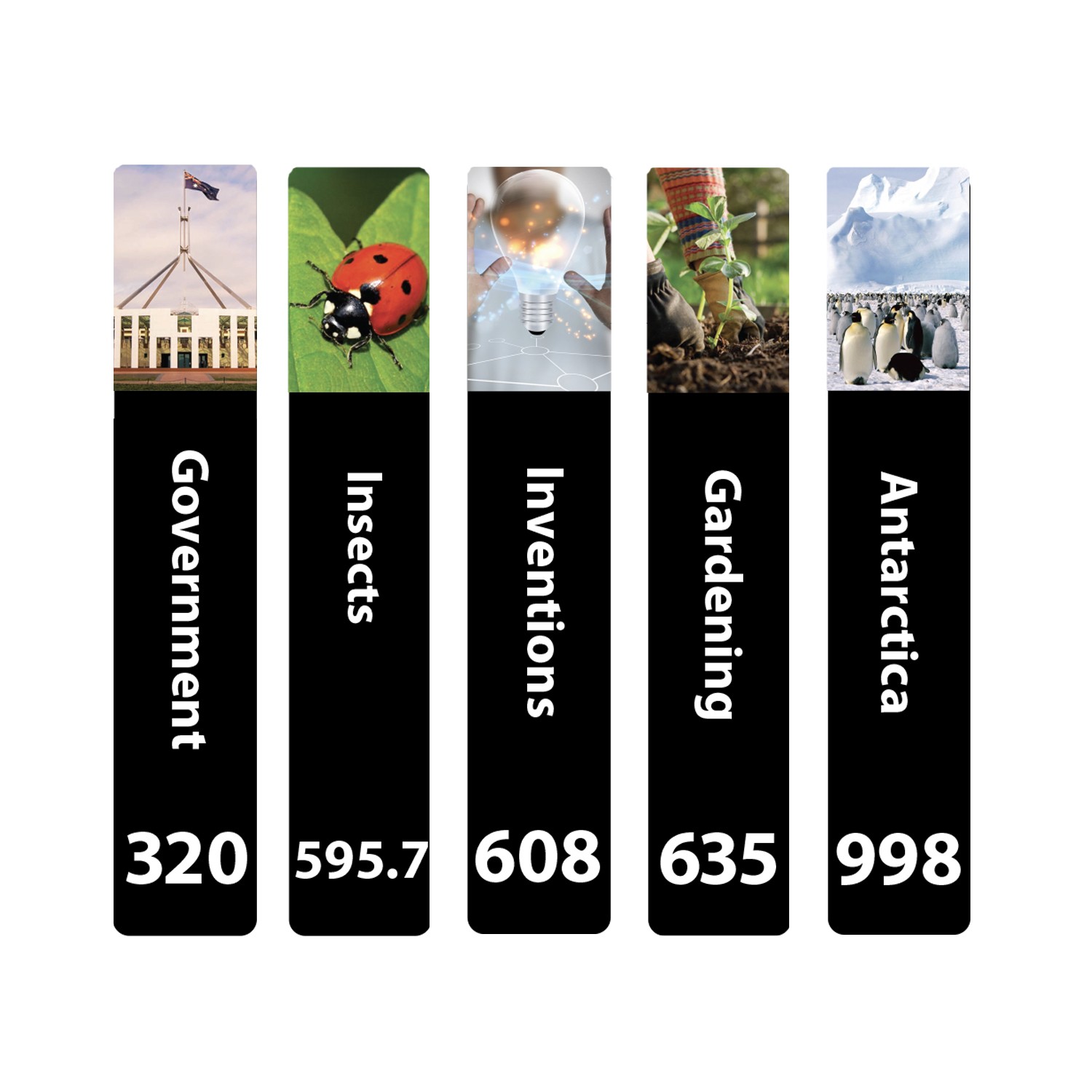 Senior Expanded Non Fiction Sticky Back Signs Set 2 Design 5