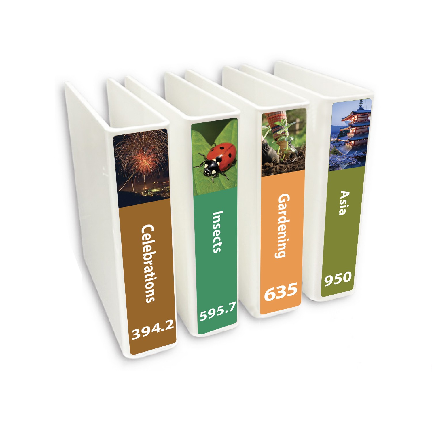 Senior Expanded Non Fiction Slimline Divider Pack Set 2 200mm