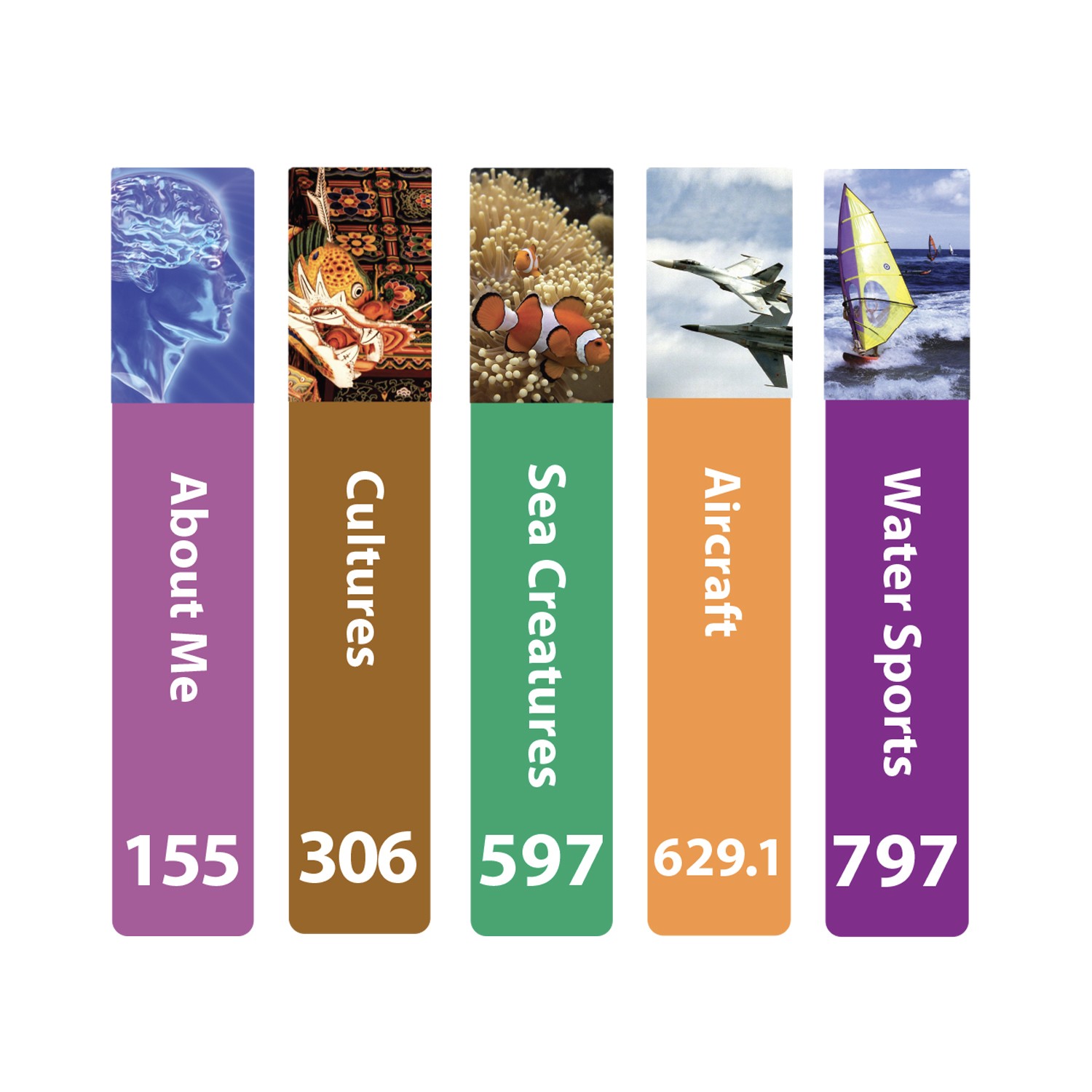 Senior Expanded Non Fiction Slim Sticky Back Signs Set 3 Design 6 250mm (h)