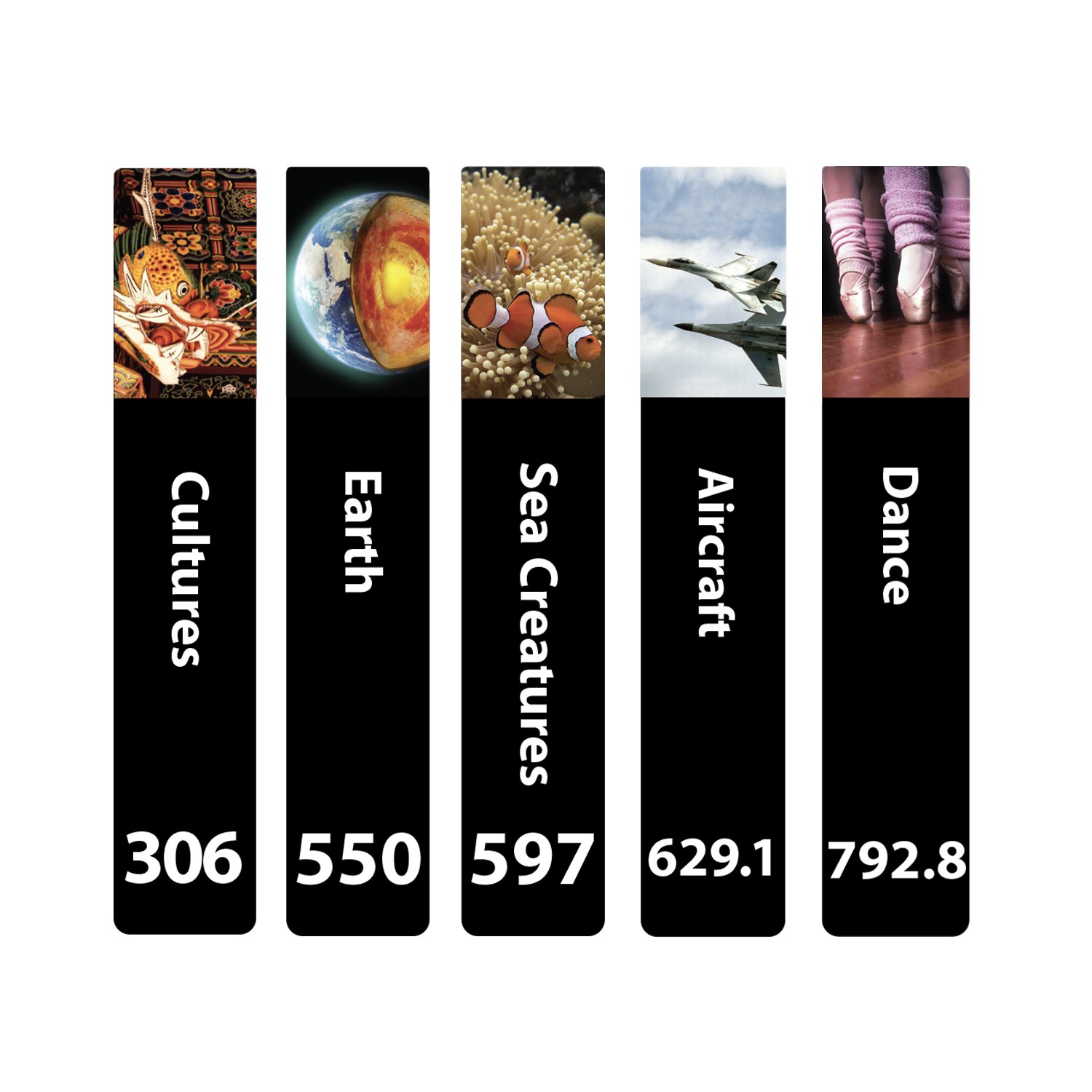 Senior Expanded Non Fiction Slim Sticky Back Signs Set 3 Design 6