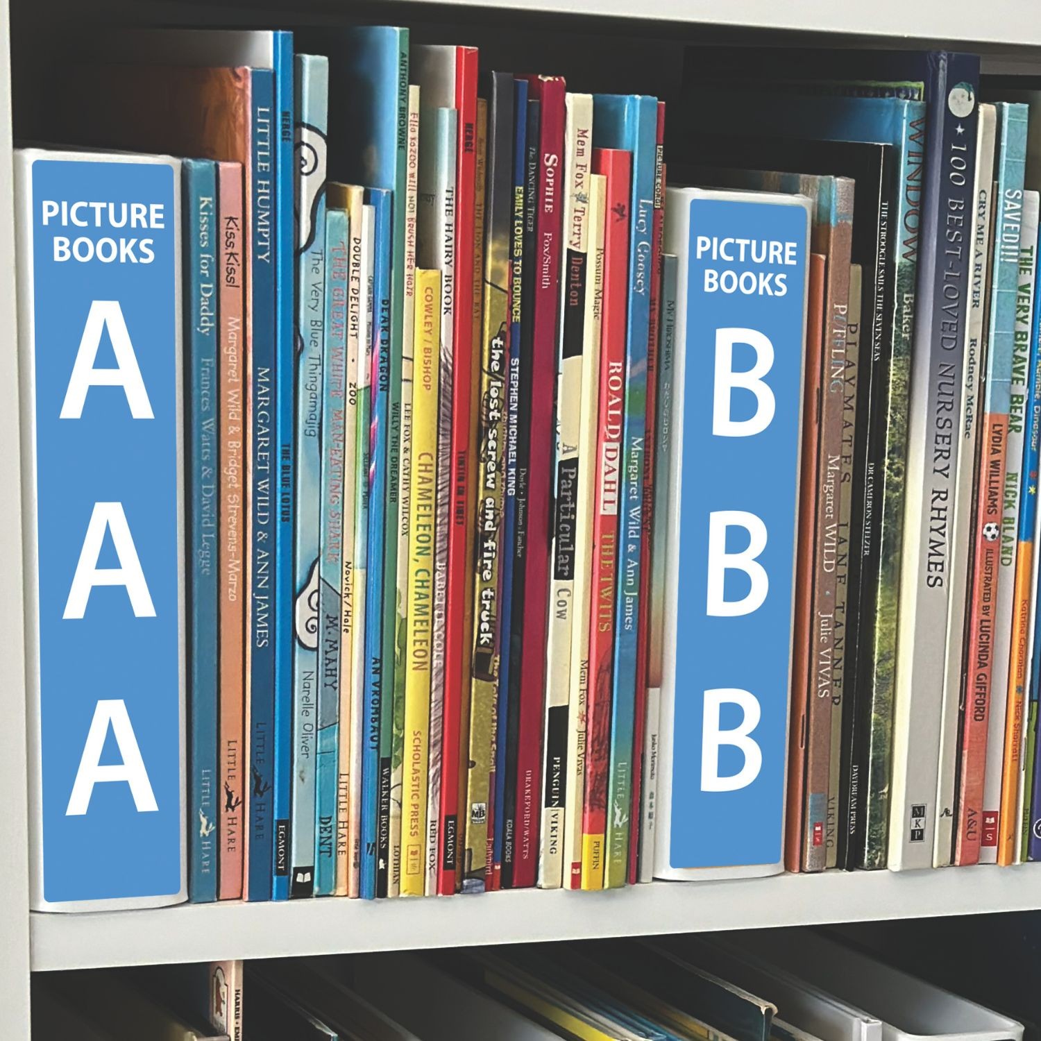 Picture Book (Title) Slimline Divider Starter Pack 200mm