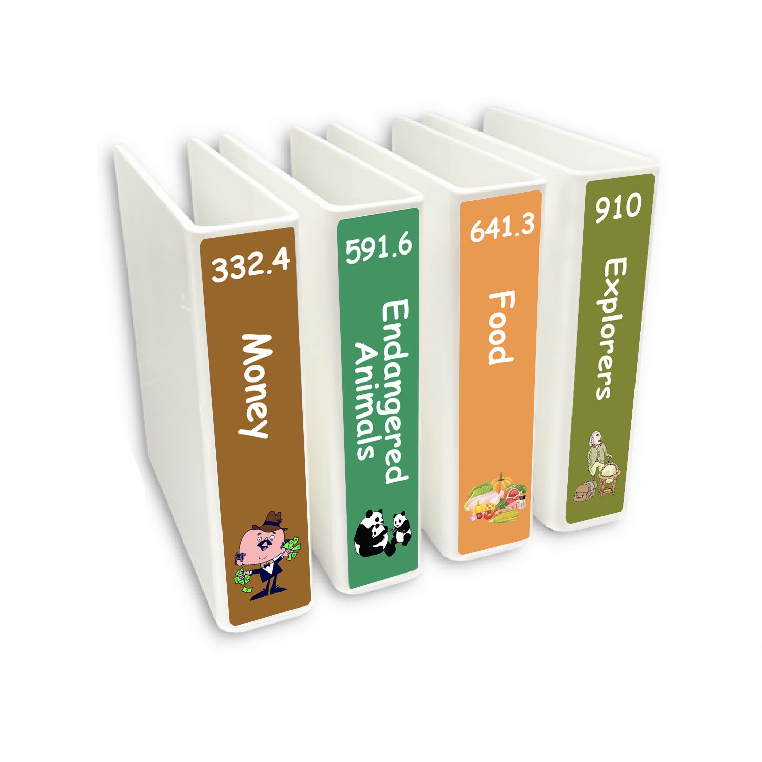 Junior Expanded Non Fiction Slimline Divider Pack Set 4 200mm