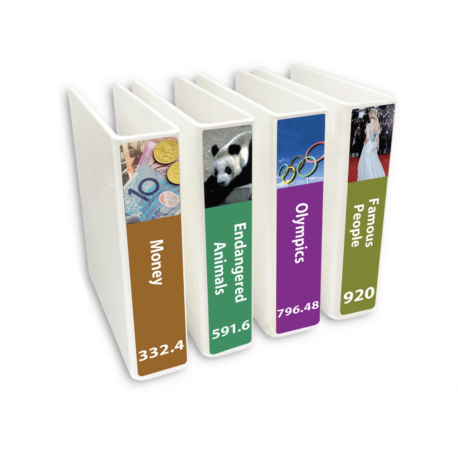 Senior Expanded Non Fiction Slimline Divider Pack Set 4