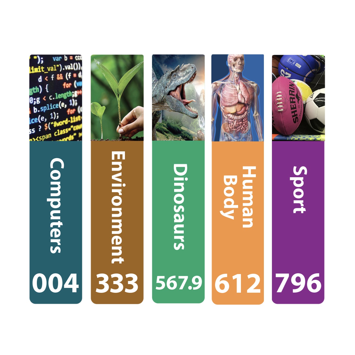 Senior Expanded Non Fiction Slim Sticky Back Signs Set 1 Design 6 250mm (h)