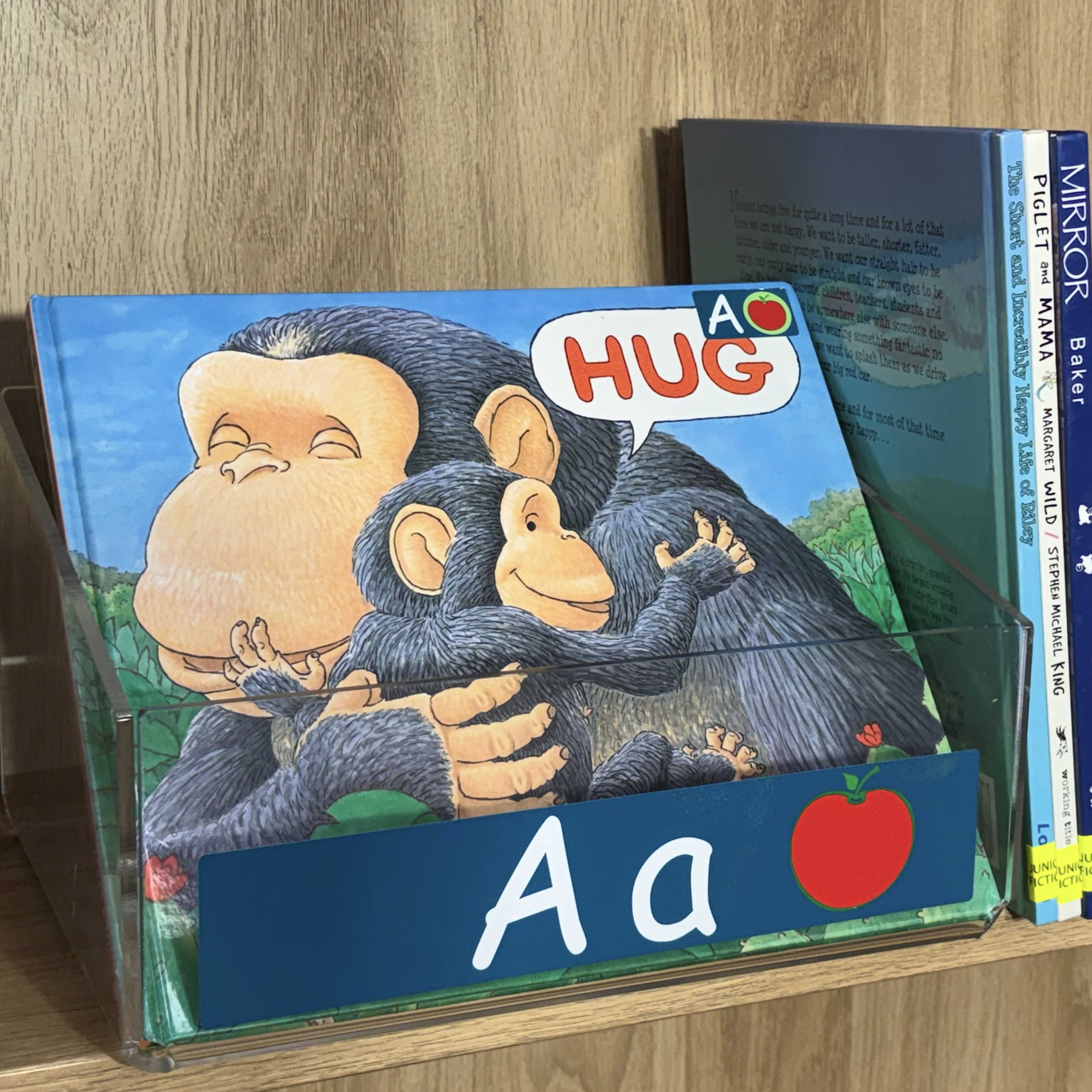 Junior Fiction Front Facing Stickers